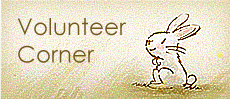 Volunteer Corner